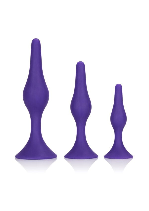 12151 PURPLE 01