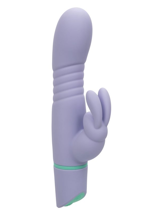 16792 PURPLE 01